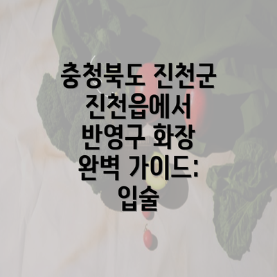 충청북도 진천군 진천읍에서 반영구 화장 완벽 가이드: 입술