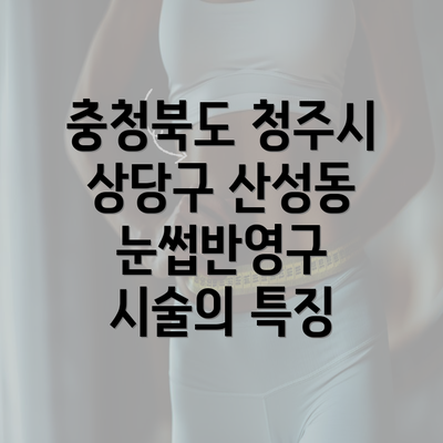 충청북도 청주시 상당구 산성동 눈썹반영구 시술의 특징