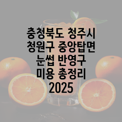 충청북도 청주시 청원구 중앙탑면 눈썹 반영구 미용 총정리 2025