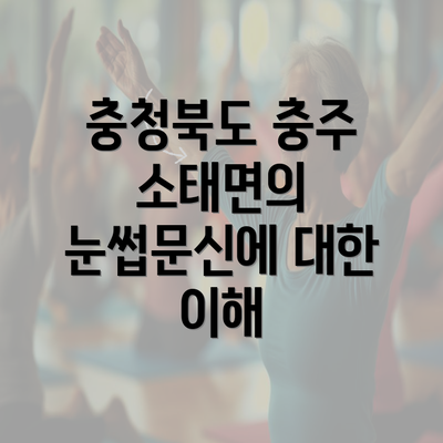 충청북도 충주 소태면의 눈썹문신에 대한 이해