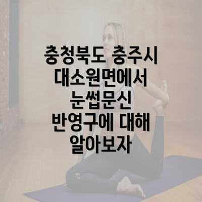 충청북도 충주시 대소원면에서 눈썹문신 반영구에 대해 알아보자