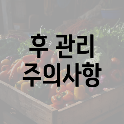 후 관리 주의사항