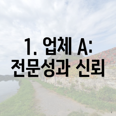 1. 업체 A: 전문성과 신뢰