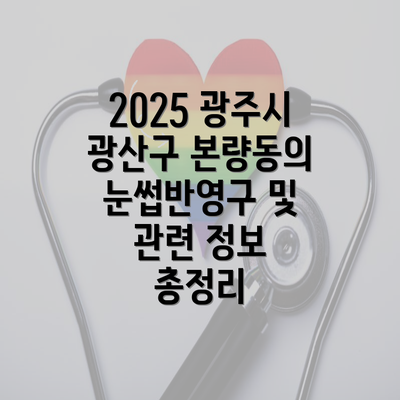 2025 광주시 광산구 본량동의 눈썹반영구 및 관련 정보 총정리