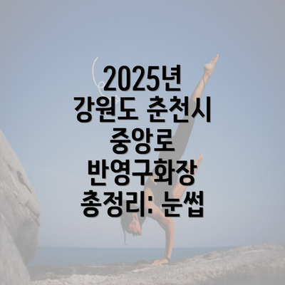 2025년 강원도 춘천시 중앙로 반영구화장 총정리: 눈썹