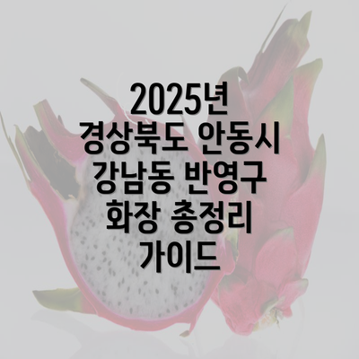 2025년 경상북도 안동시 강남동 반영구 화장 총정리 가이드