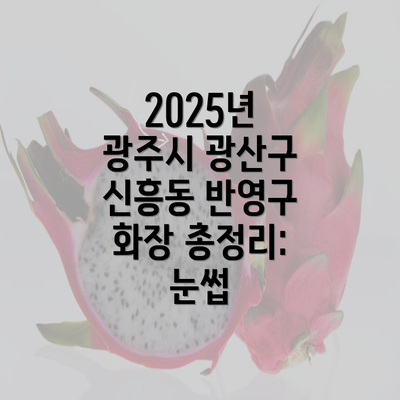 2025년 광주시 광산구 신흥동 반영구 화장 총정리: 눈썹