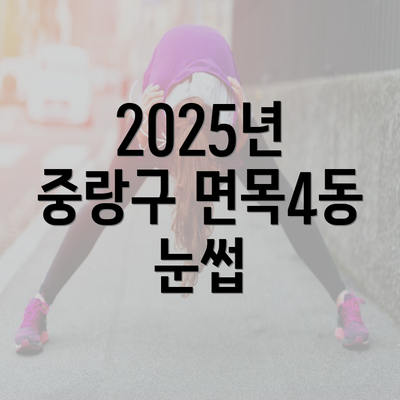 2025년 중랑구 면목4동 눈썹