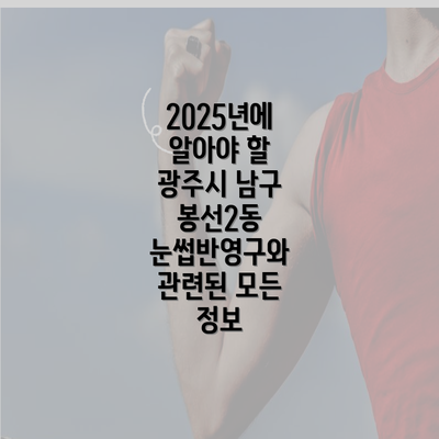 2025년에 알아야 할 광주시 남구 봉선2동 눈썹반영구와 관련된 모든 정보