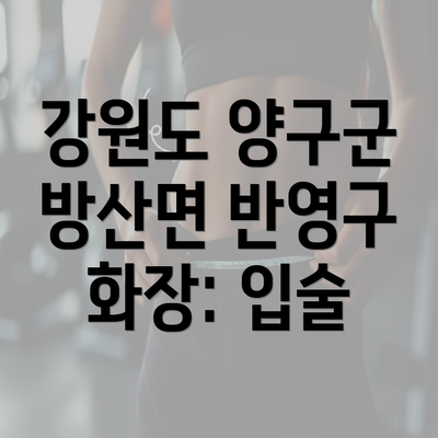 강원도 양구군 방산면 반영구 화장: 입술