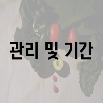 관리 및 기간