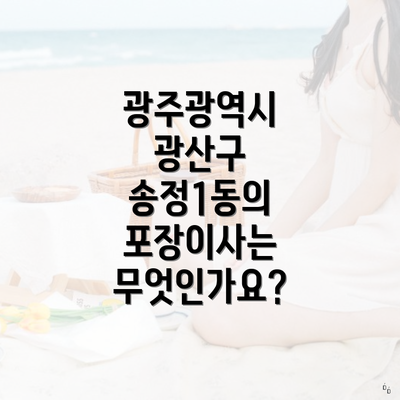 광주광역시 광산구 송정1동의 포장이사는 무엇인가요?