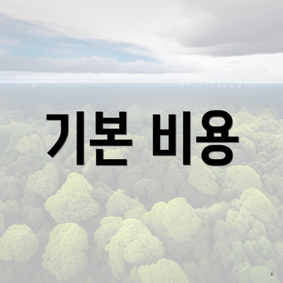 기본 비용