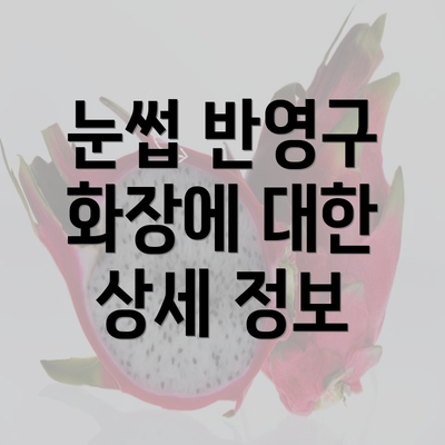 눈썹 반영구 화장에 대한 상세 정보