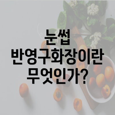 눈썹 반영구화장이란 무엇인가?