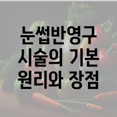 눈썹반영구 시술의 기본 원리와 장점