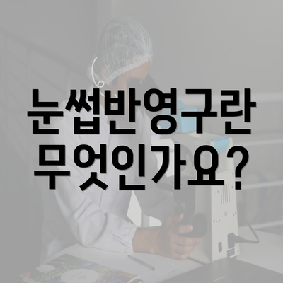 눈썹반영구란 무엇인가요?