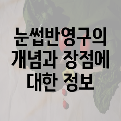 눈썹반영구의 개념과 장점에 대한 정보