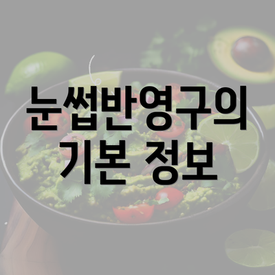 눈썹반영구의 기본 정보