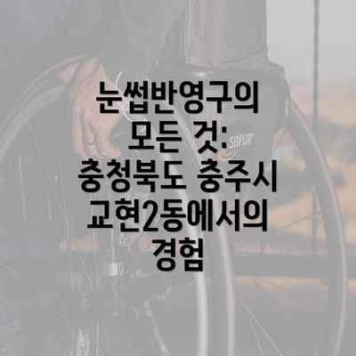 눈썹반영구의 모든 것: 충청북도 충주시 교현2동에서의 경험