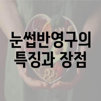 눈썹반영구의 특징과 장점