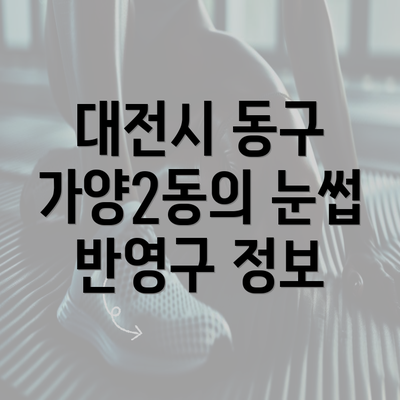 대전시 동구 가양2동의 눈썹 반영구 정보