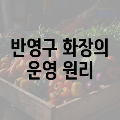 반영구 화장의 운영 원리