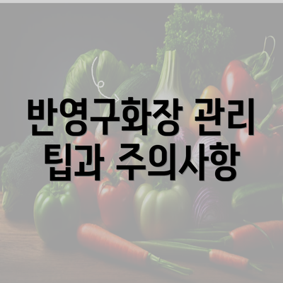 반영구화장 관리 팁과 주의사항