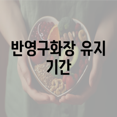 반영구화장 유지 기간