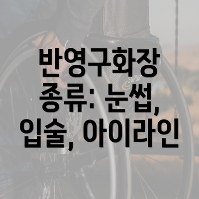 반영구화장 종류: 눈썹, 입술, 아이라인