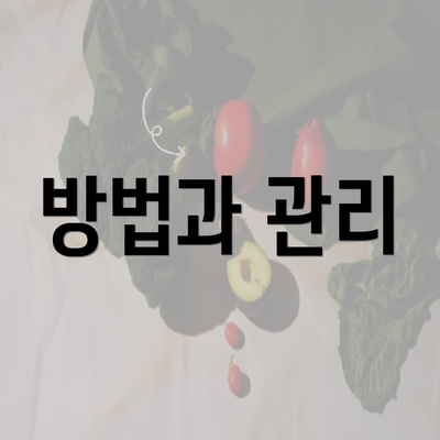 방법과 관리