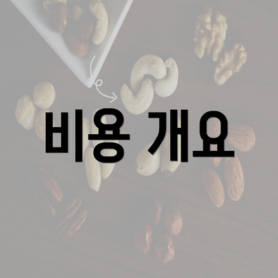 비용 개요