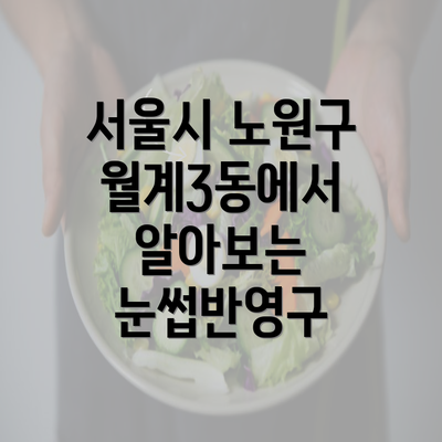 서울시 노원구 월계3동에서 알아보는 눈썹반영구