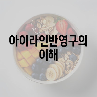 아이라인반영구의 이해