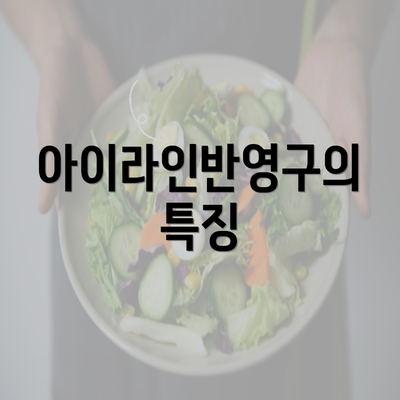 아이라인반영구의 특징