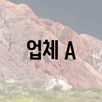 업체 A