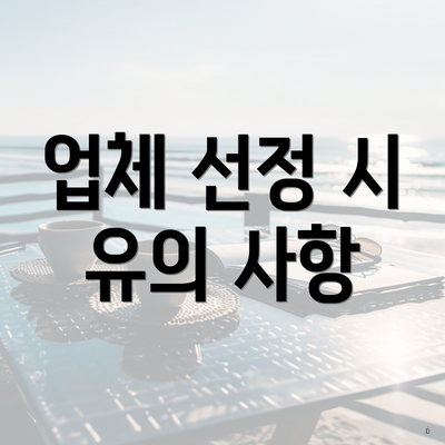 업체 선정 시 유의 사항