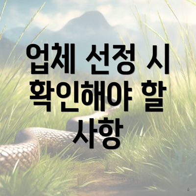 업체 선정 시 확인해야 할 사항