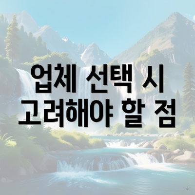 업체 선택 시 고려해야 할 점