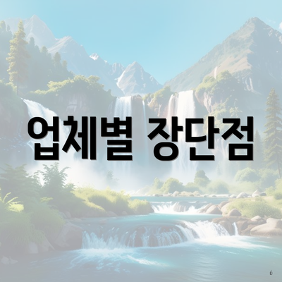 업체별 장단점
