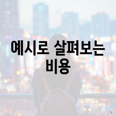 예시로 살펴보는 비용