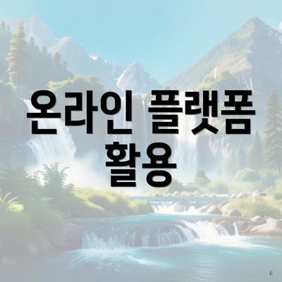 온라인 플랫폼 활용