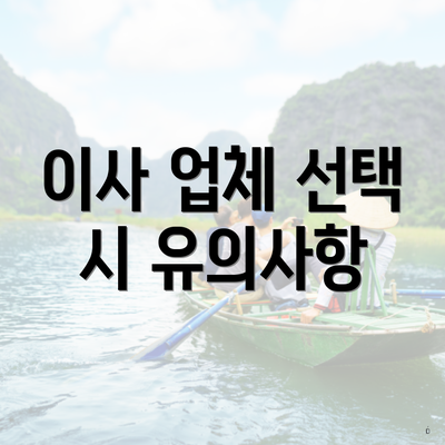 이사 업체 선택 시 유의사항