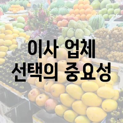 이사 업체 선택의 중요성