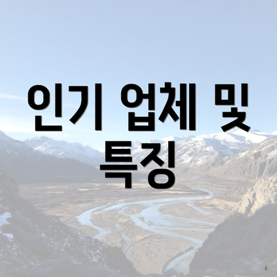 인기 업체 및 특징