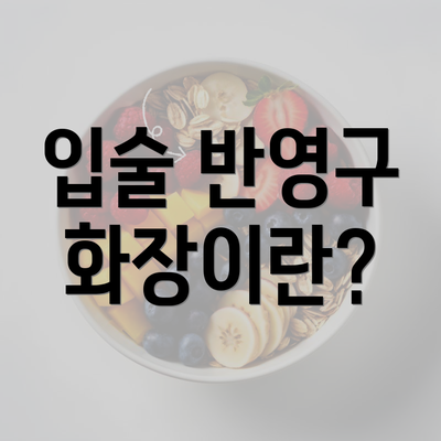 입술 반영구 화장이란?