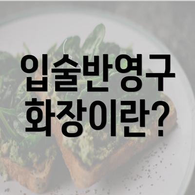 입술반영구 화장이란?