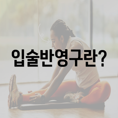 입술반영구란?