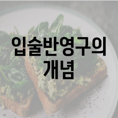 입술반영구의 개념