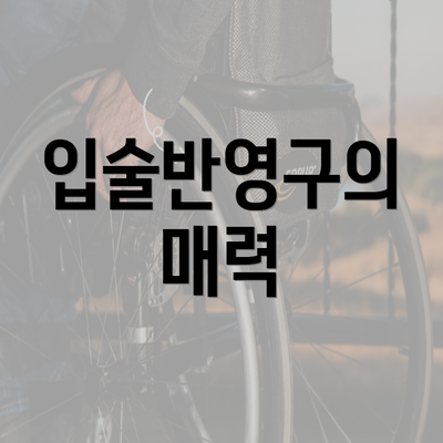 입술반영구의 매력